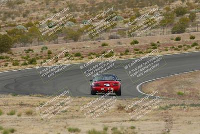 media/May-03-2025-Lucky Dog Racing (Sat) [[206de64b9d]]/Turn 2 (1020am-1120am)/